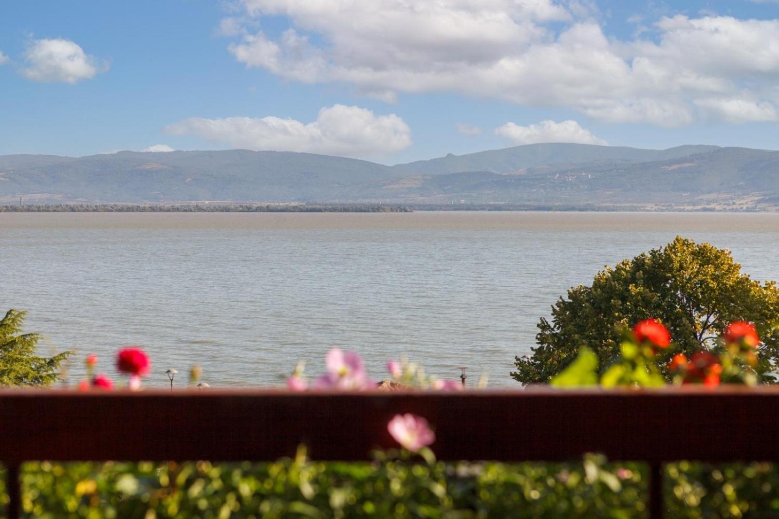 Apartment Amore Mio Golubac Bagian luar foto